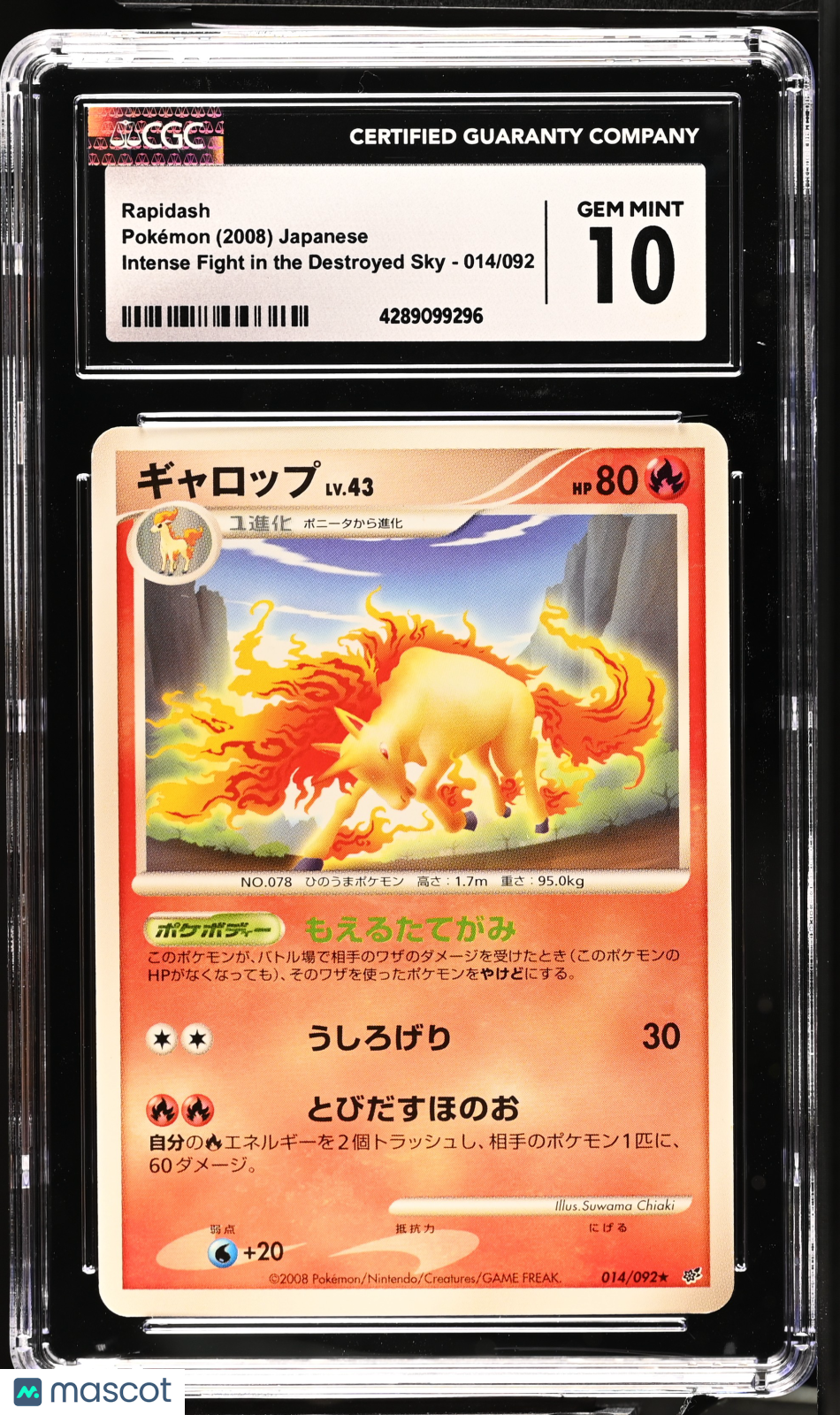 2008 Pokémon Intense Fight in the Destroyed Sky Rapidash #014/092 Japanese CGC 10