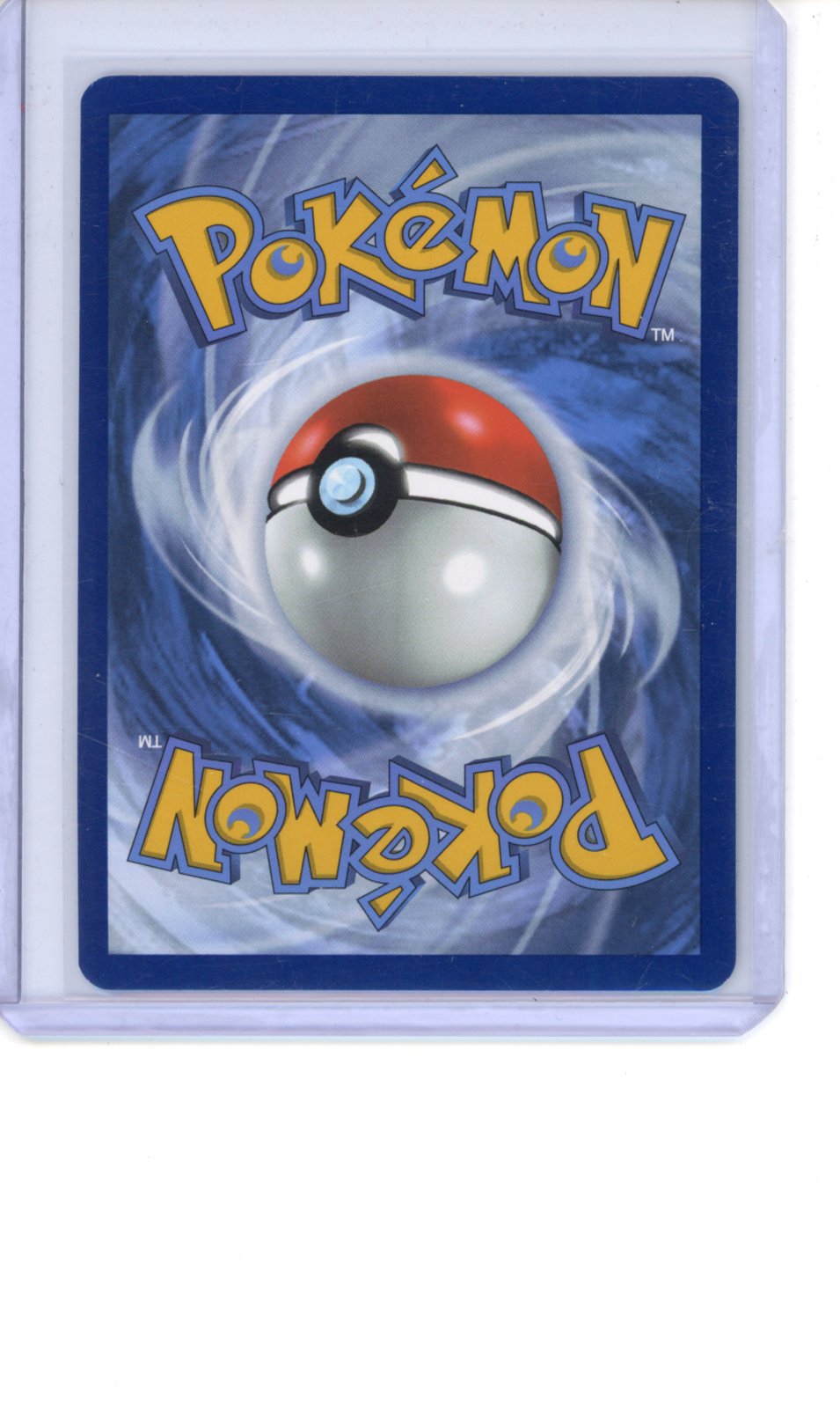 Palpitoad #104 Pokemon Black Bolt NM