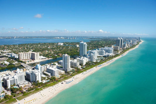 Best Things to Do in Miami + Collectors Club Experience