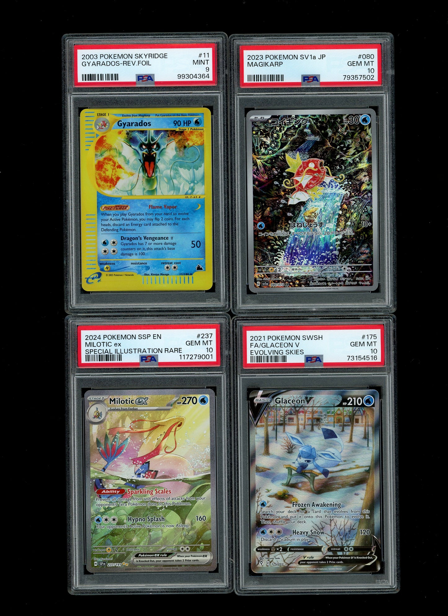Collectors Club Majesty Black Pack