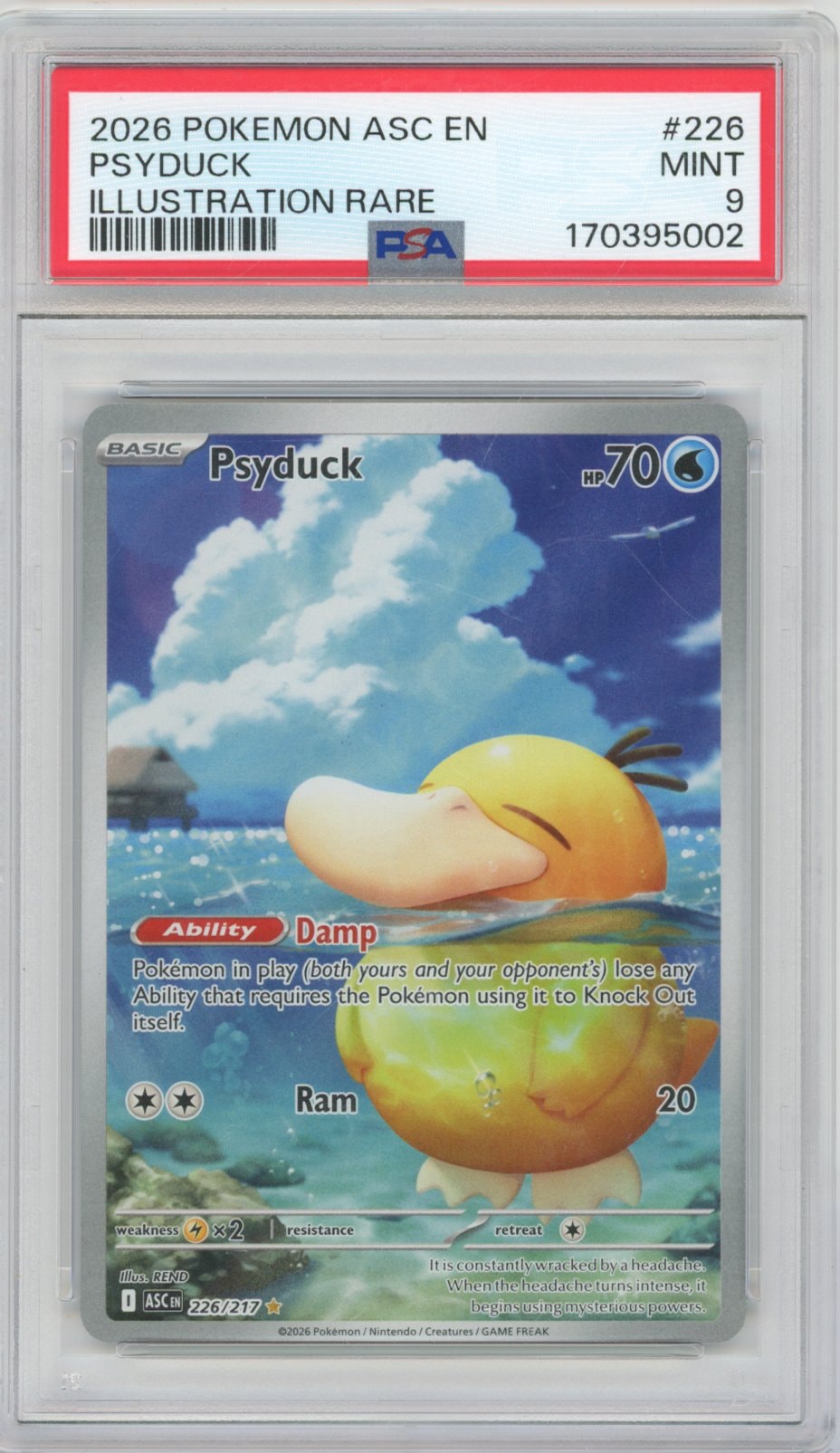 Collectors Club inventory image [source:5d8b6cf2c4da93e23edbb42b]
