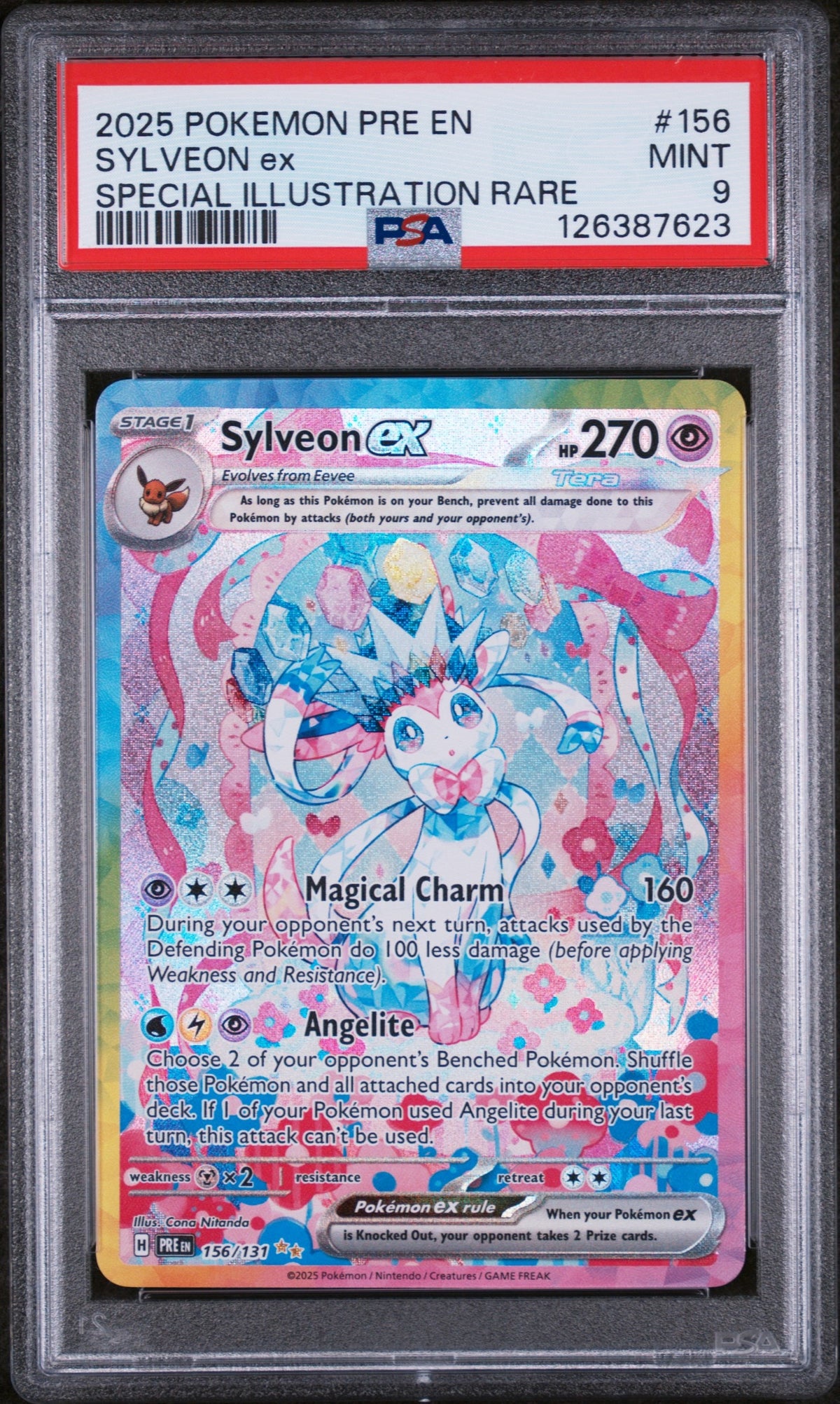 Collectors Club inventory image [source:121b7b857296f9aa1478de99]