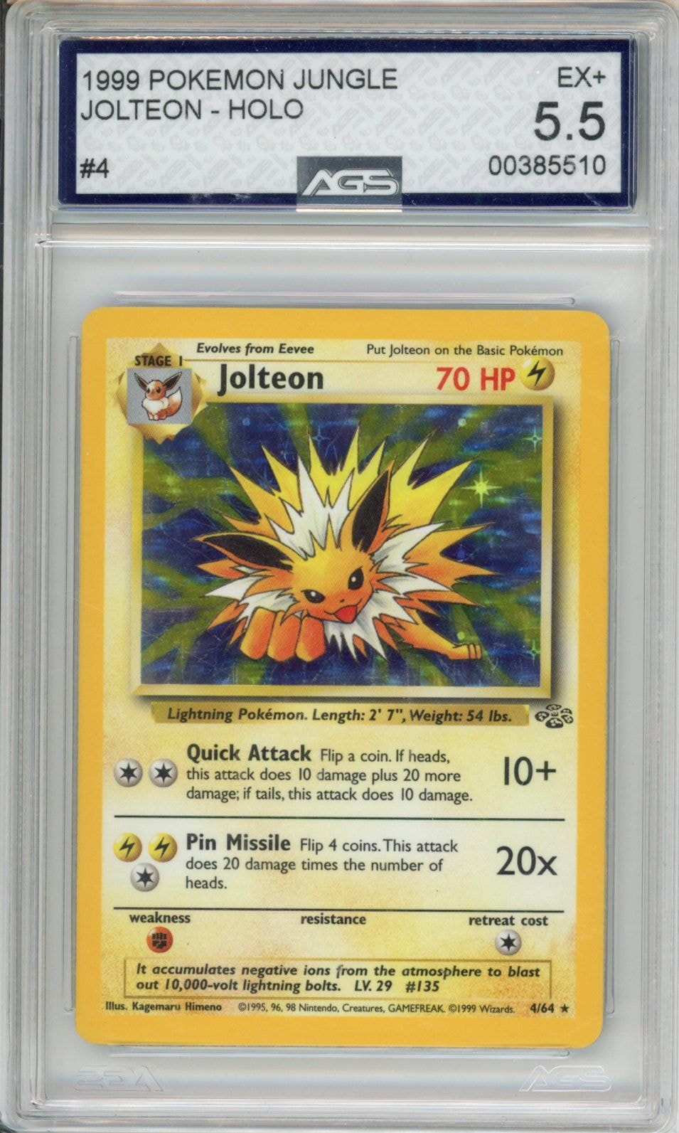 Collectors Club inventory image [source:1e19a7ea02bee821eb5418c8]