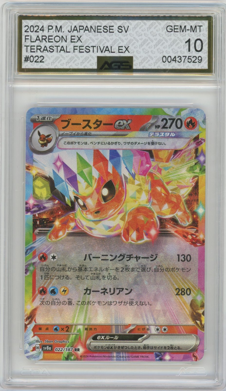 Collectors Club inventory image [source:97c2d839fc91f0731c839283]