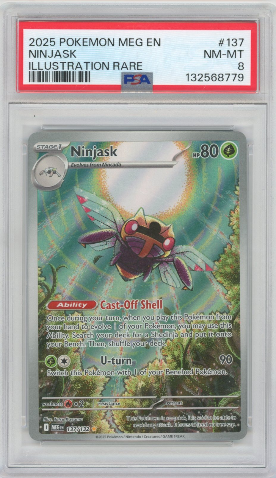 Collectors Club inventory image [source:53a48669ba264c8d3ec0c225]