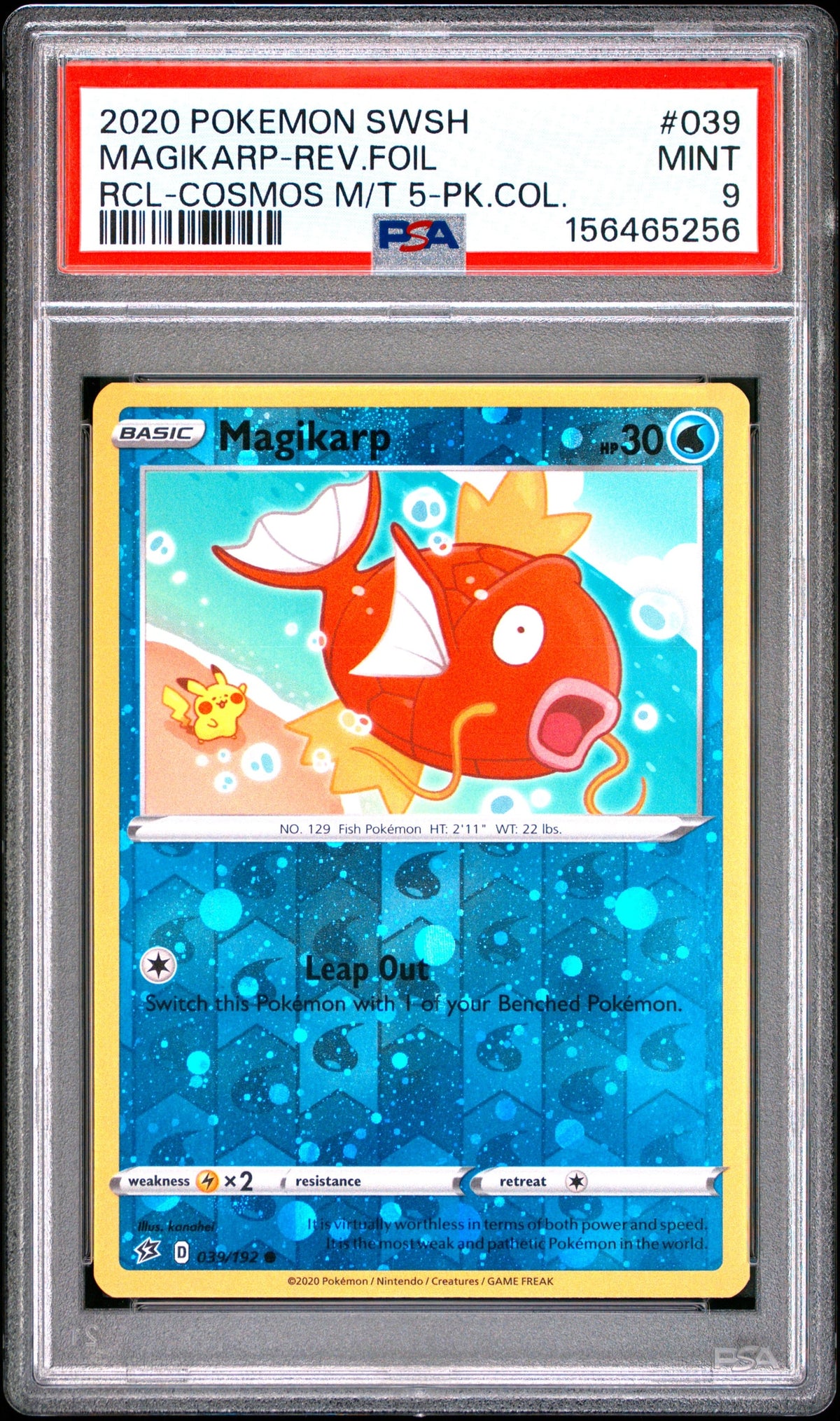 Collectors Club inventory image [source:48d4d4da4dbf6b98e646547a]