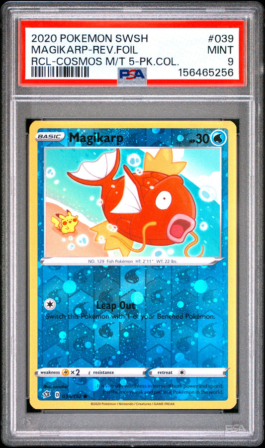Collectors Club inventory image [source:48d4d4da4dbf6b98e646547a]