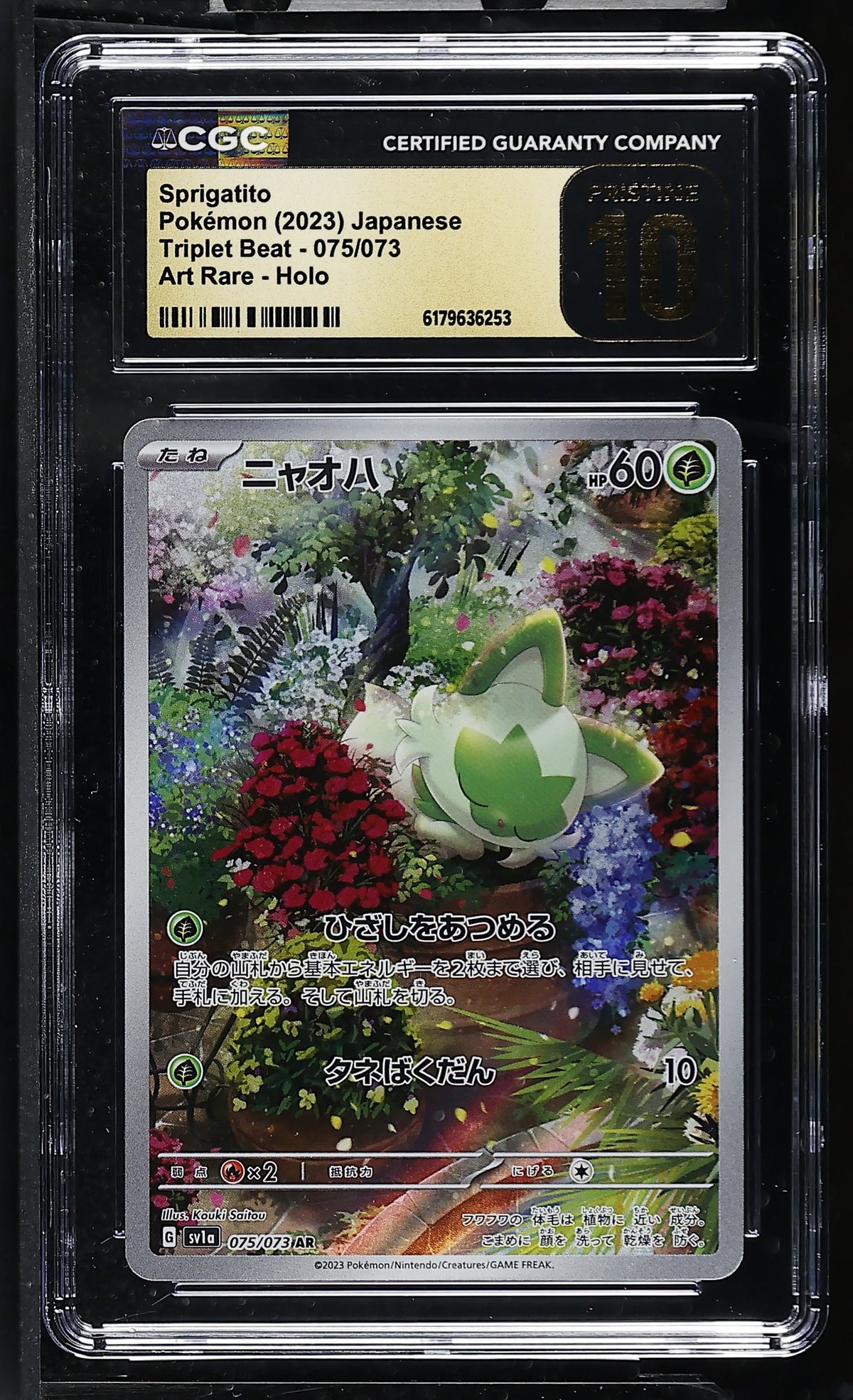 Collectors Club inventory image [source:42499c642ca42e96c30054b7]