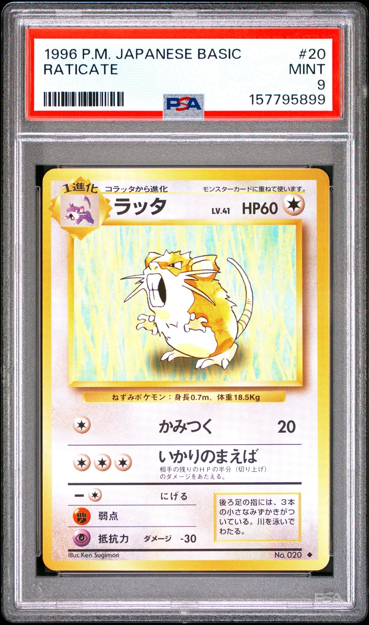 Collectors Club inventory image [source:73e146efd949d8bb87877f7a]