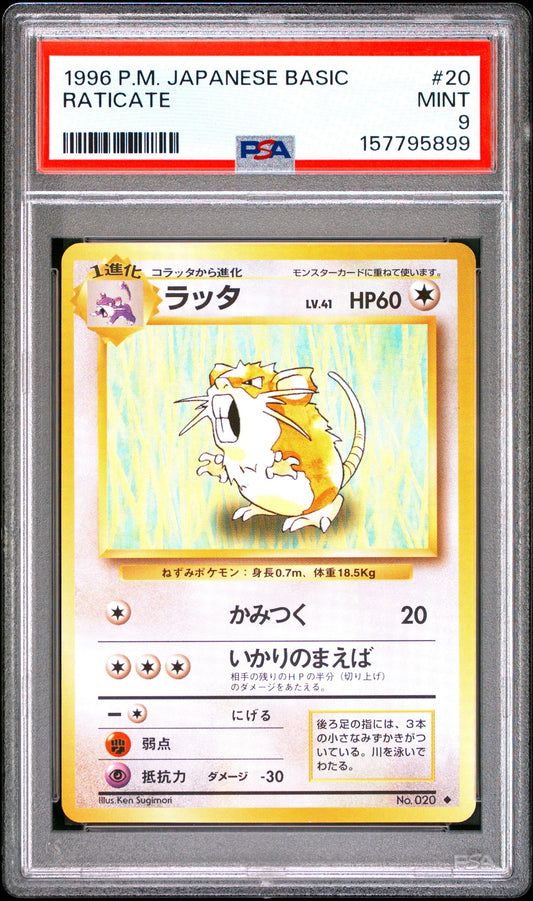Collectors Club inventory image [source:73e146efd949d8bb87877f7a]