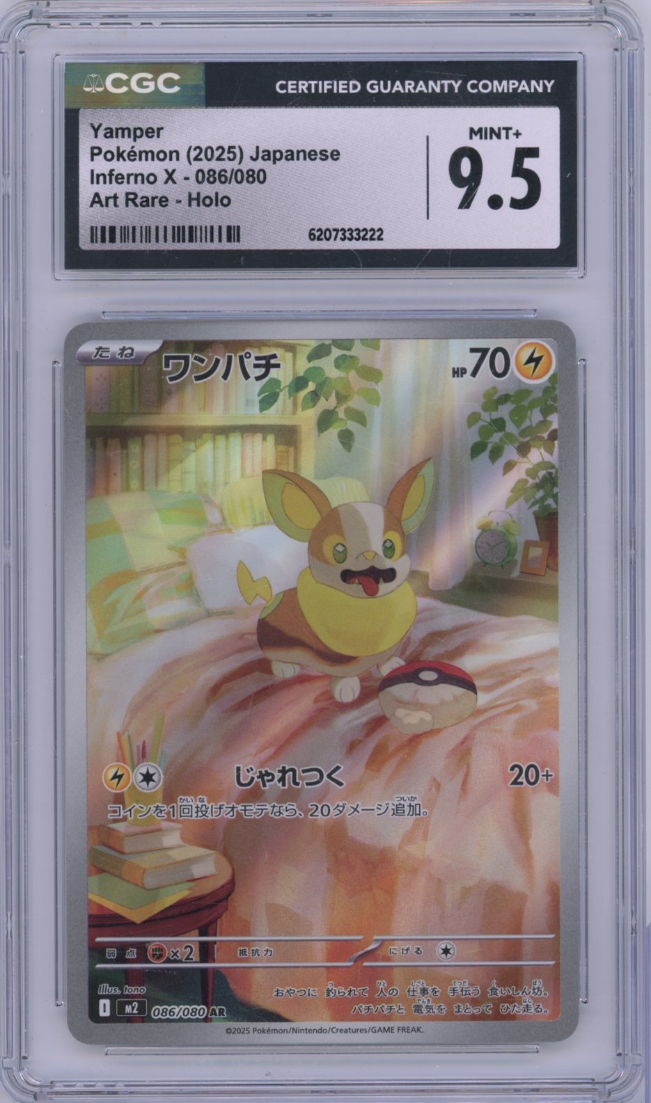 Collectors Club inventory image [source:bef7cdec6ba7e5902d42e03a]