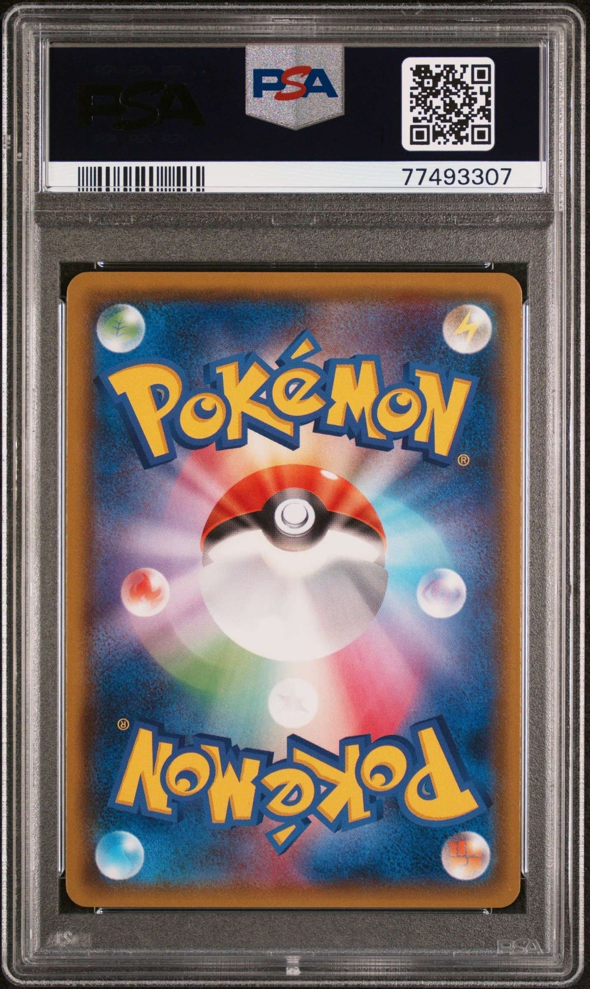 Collectors Club inventory image [source:85e01d02e95a4de45e8915dc]
