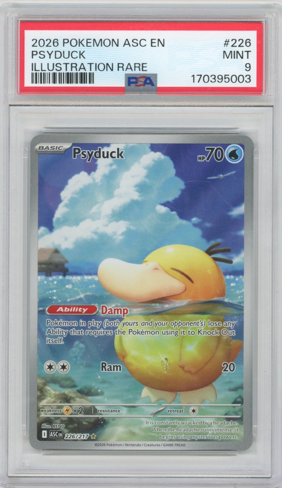 Collectors Club inventory image [source:42075b2f39a5cc0cd6a79d4b]
