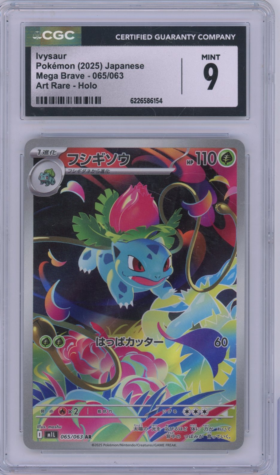 Collectors Club inventory image [source:850b91d30c9621aa43585ca7]