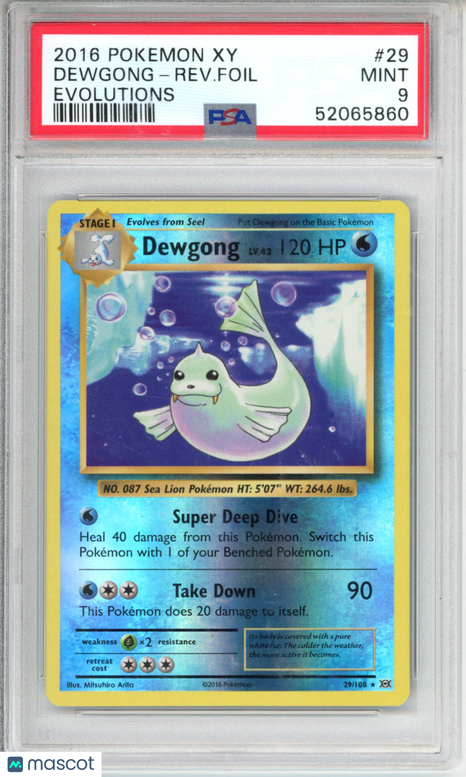 2016 Pokemon Xy Evolutions Dewgong-Rev. Foil #29 Evolutions PSA 9