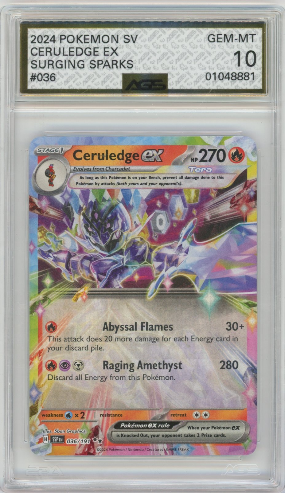 Collectors Club inventory image [source:bdb5b76966006c82fb24d5d7]