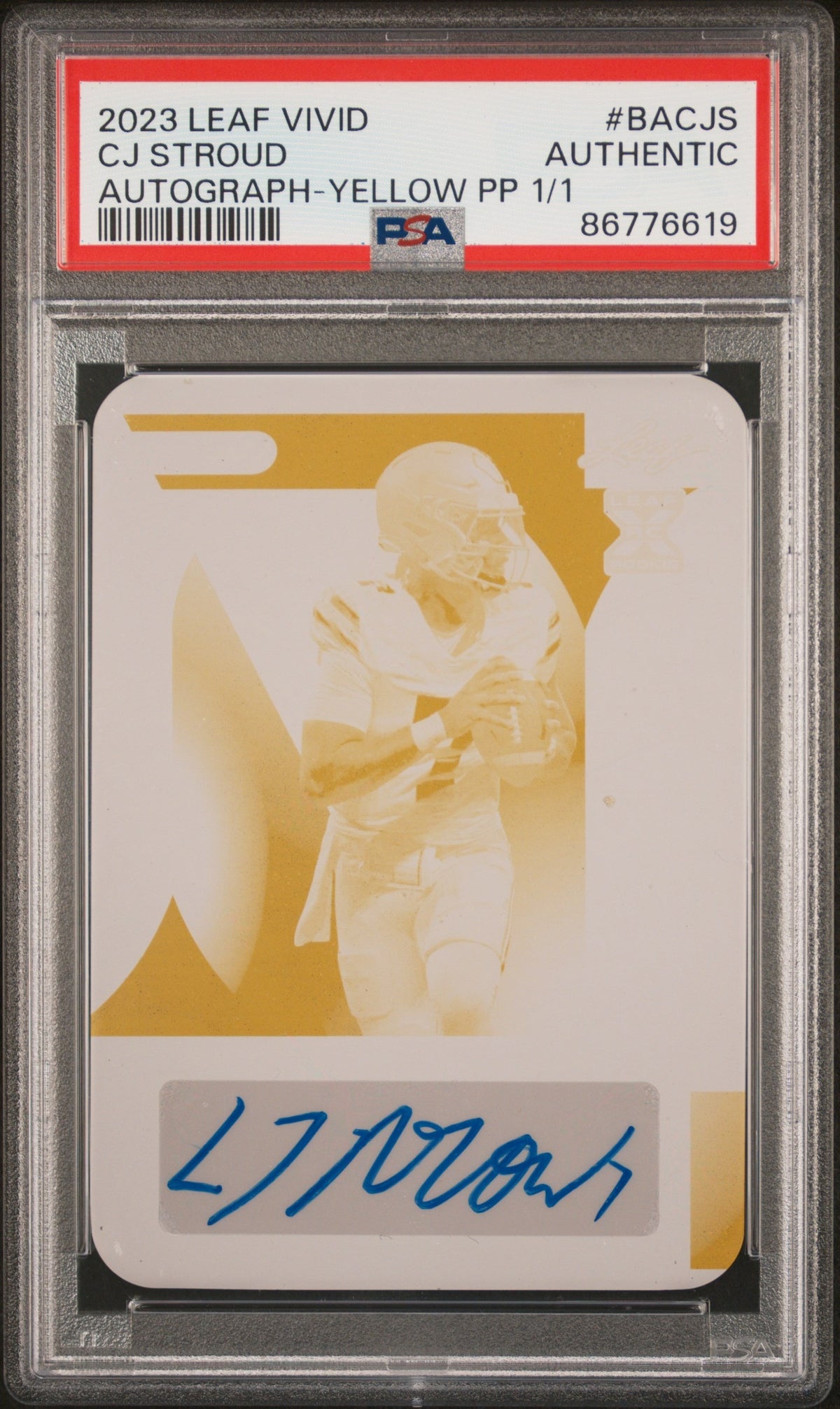 Collectors Club inventory image [source:2a0b34d19e2349a4b6a61943]