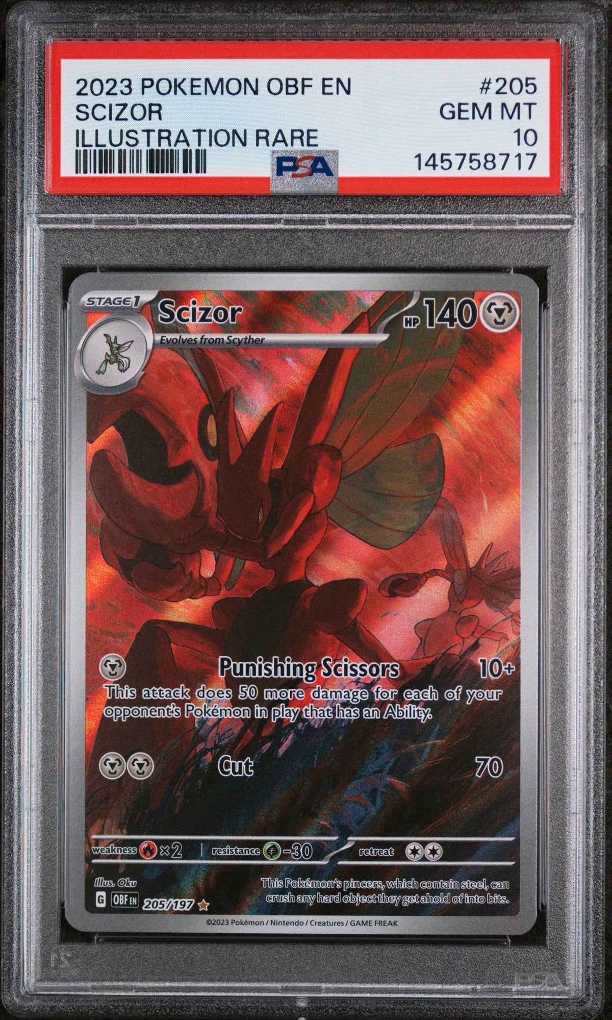 Collectors Club inventory image [source:8473193730a7494e30b3a026]