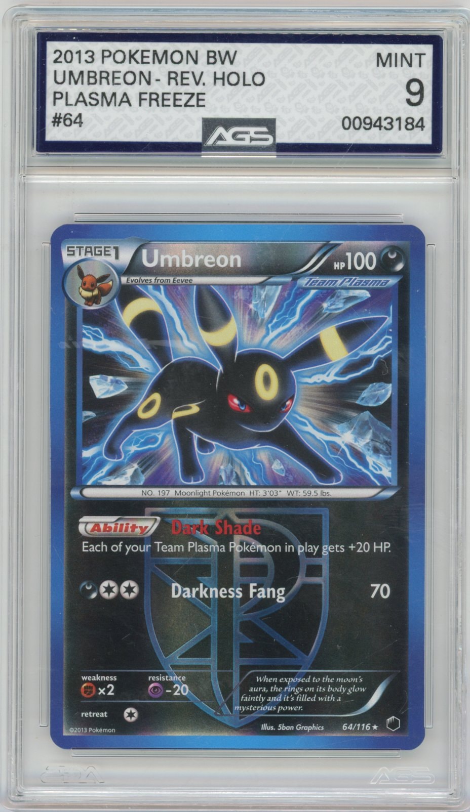 Collectors Club inventory image [source:5182f215d964429895395f62]