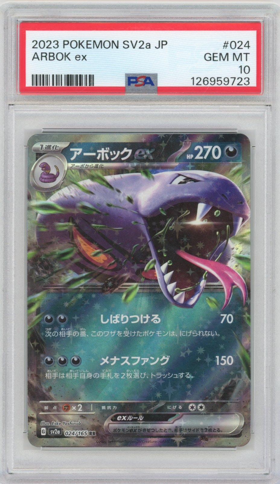 Collectors Club inventory image [source:a40b0abc289316dd905203ee]