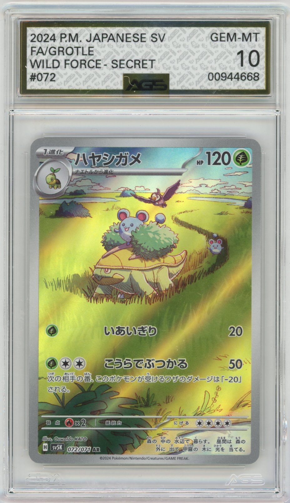 Collectors Club inventory image [source:234190a679c5255b3cf71be0]