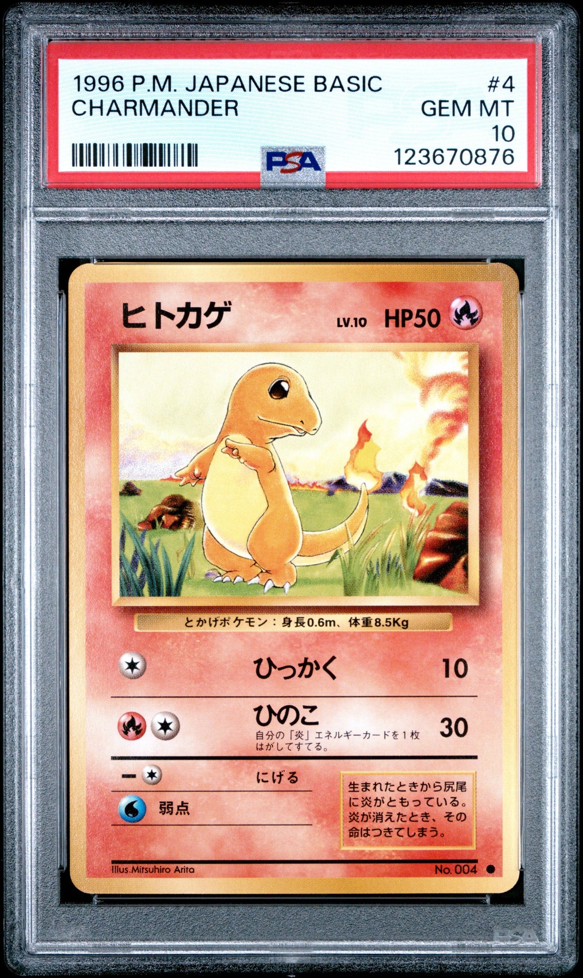 Collectors Club inventory image [source:bfe11b2bbb511f2756731b6d]