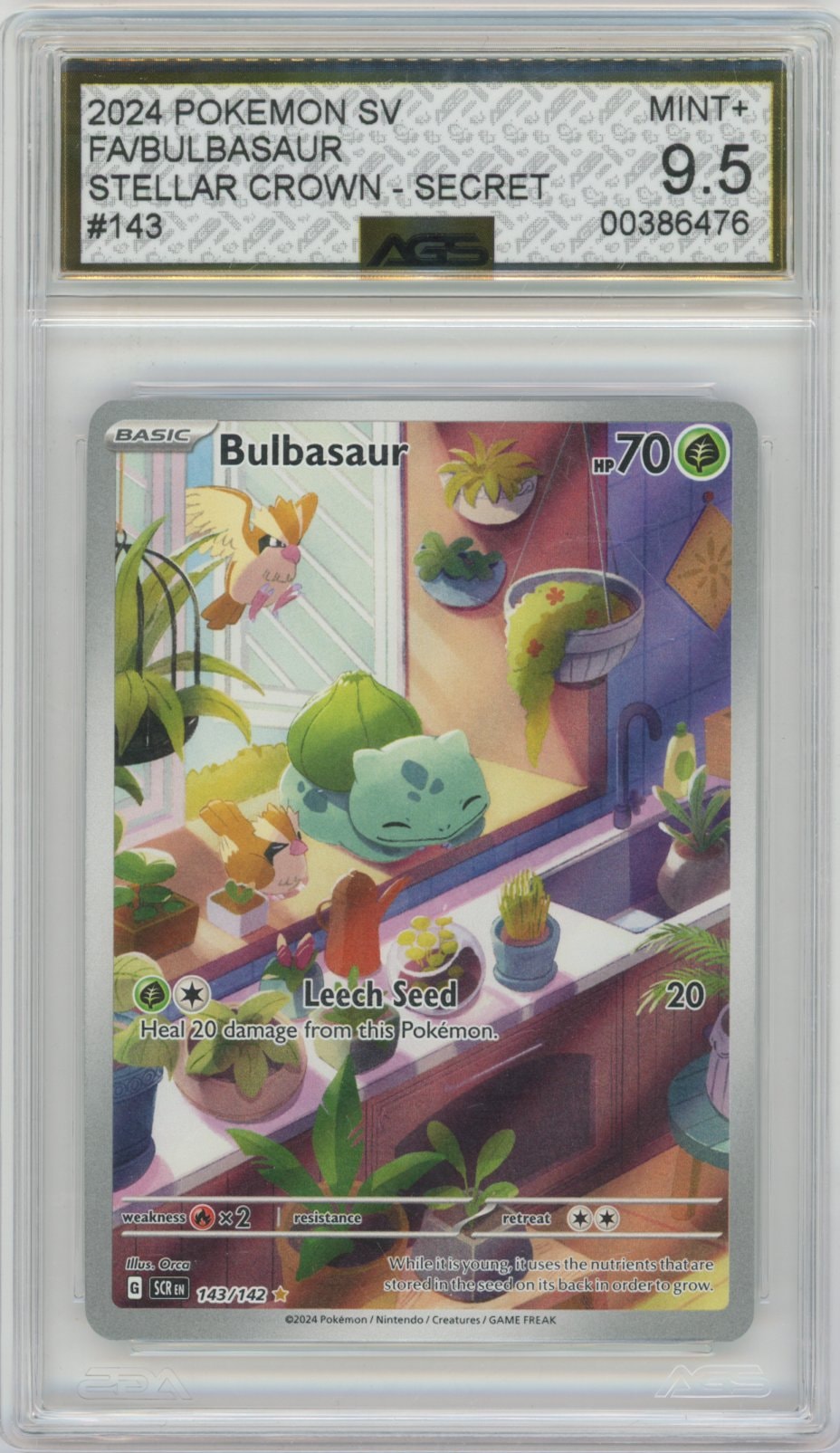 Collectors Club inventory image [source:ca3d36a88cef0581c9f36fef]