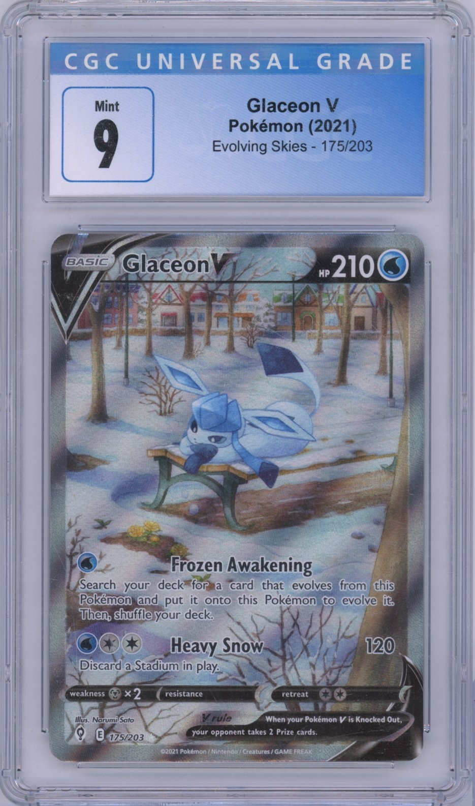 Collectors Club inventory image [source:bafb1b5dced084de73081a1b]