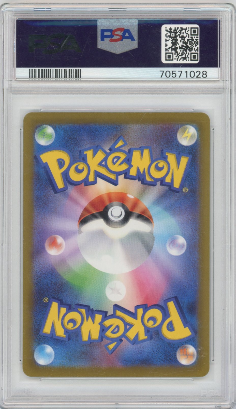 Collectors Club inventory image [source:b90cc2d4d4ad8c08c1a3c7a7]