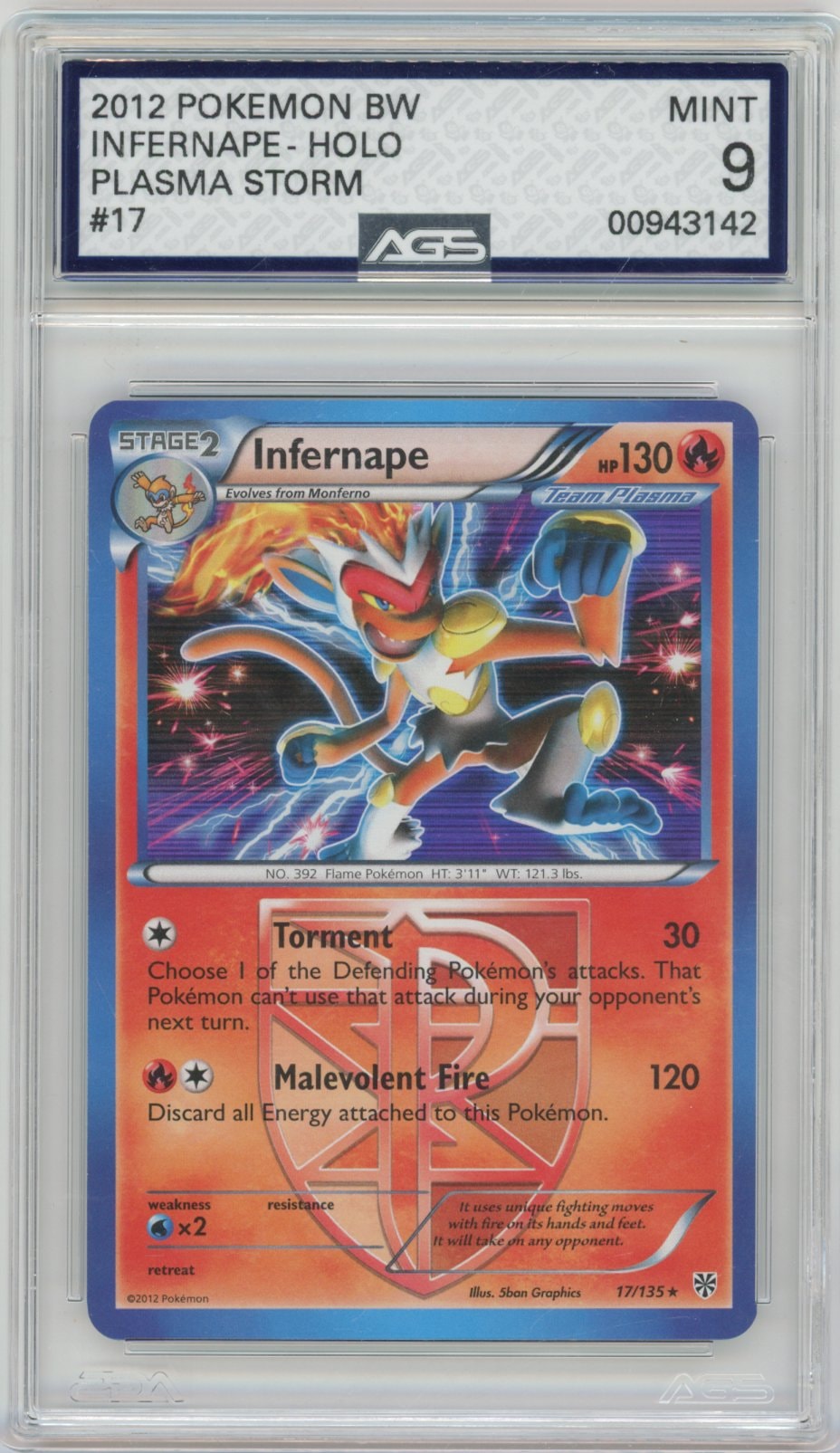 Collectors Club inventory image [source:8b9a420f165967bb0d14528b]