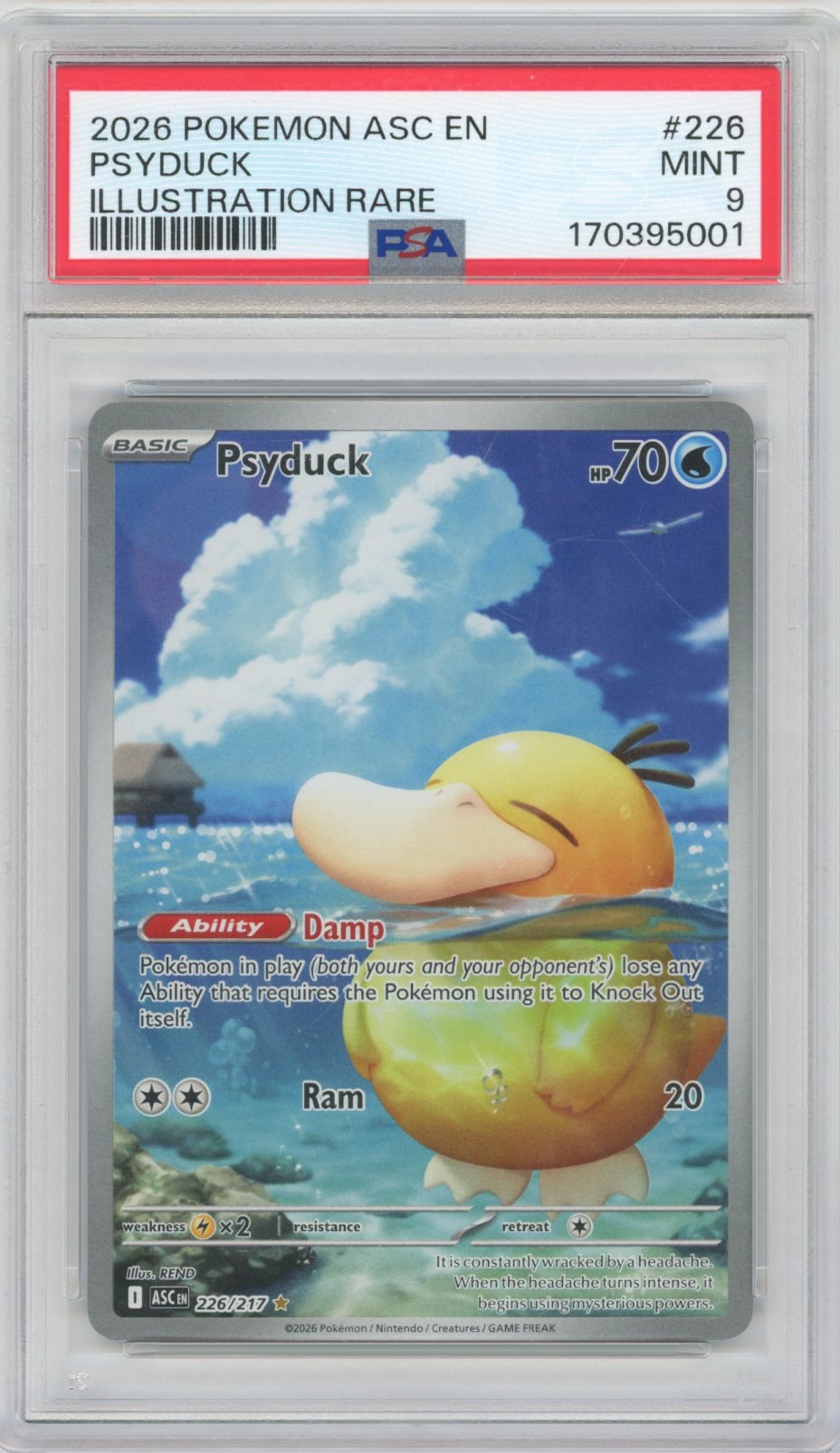 Collectors Club inventory image [source:f7d245148deb35ff3be90834]