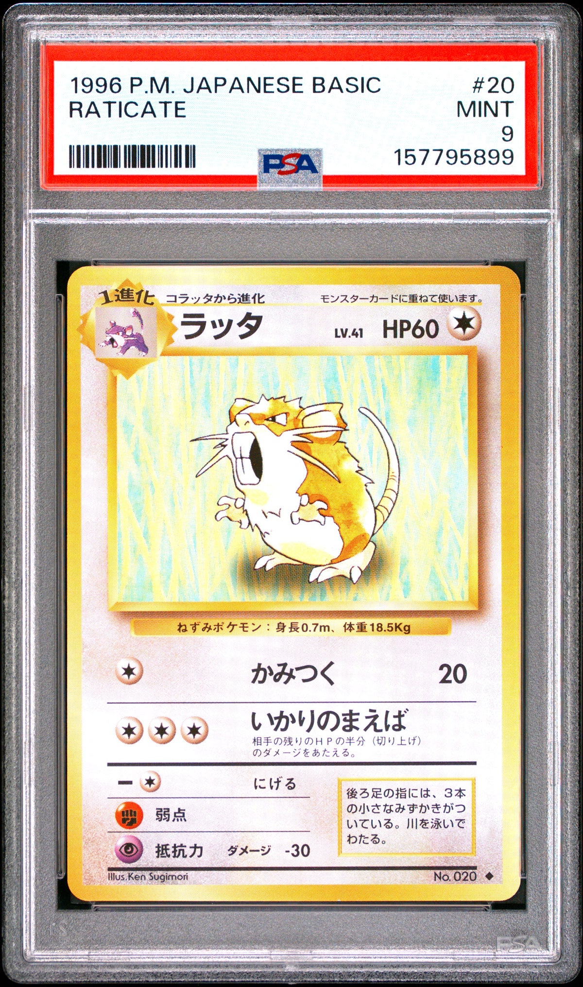 1999 Base Set Raticate #20 Base Japanese PSA 9