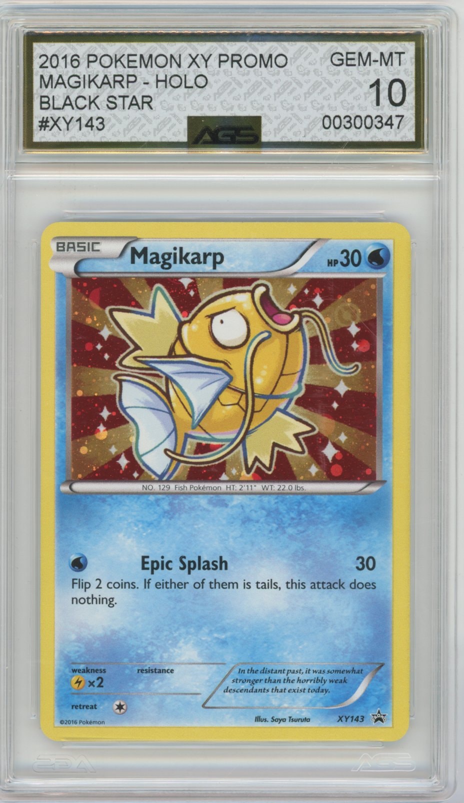 Collectors Club inventory image [source:adf12042d69567d3644849fd]