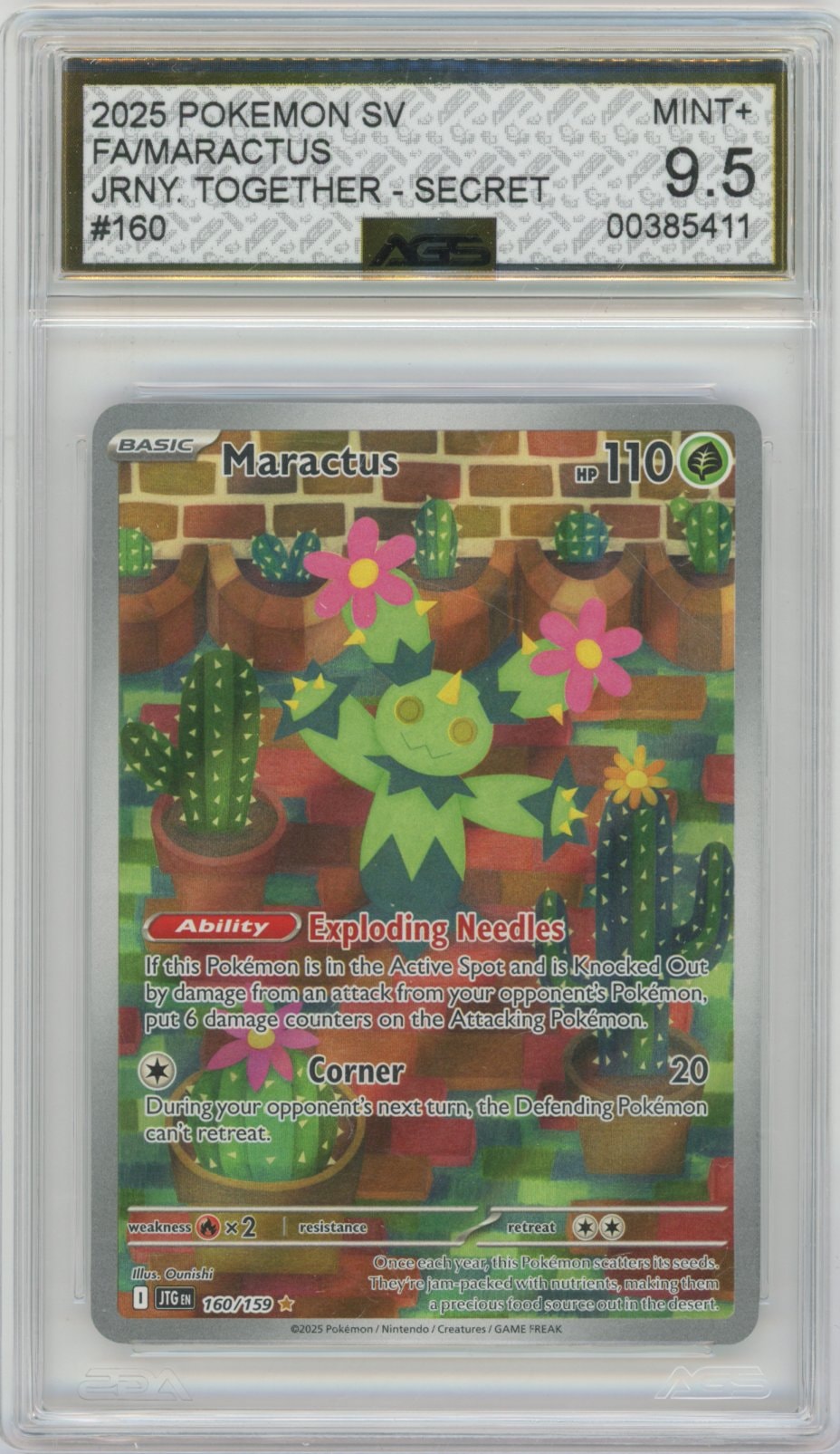 Collectors Club inventory image [source:83c0c033c07ee4c1d7d28c05]