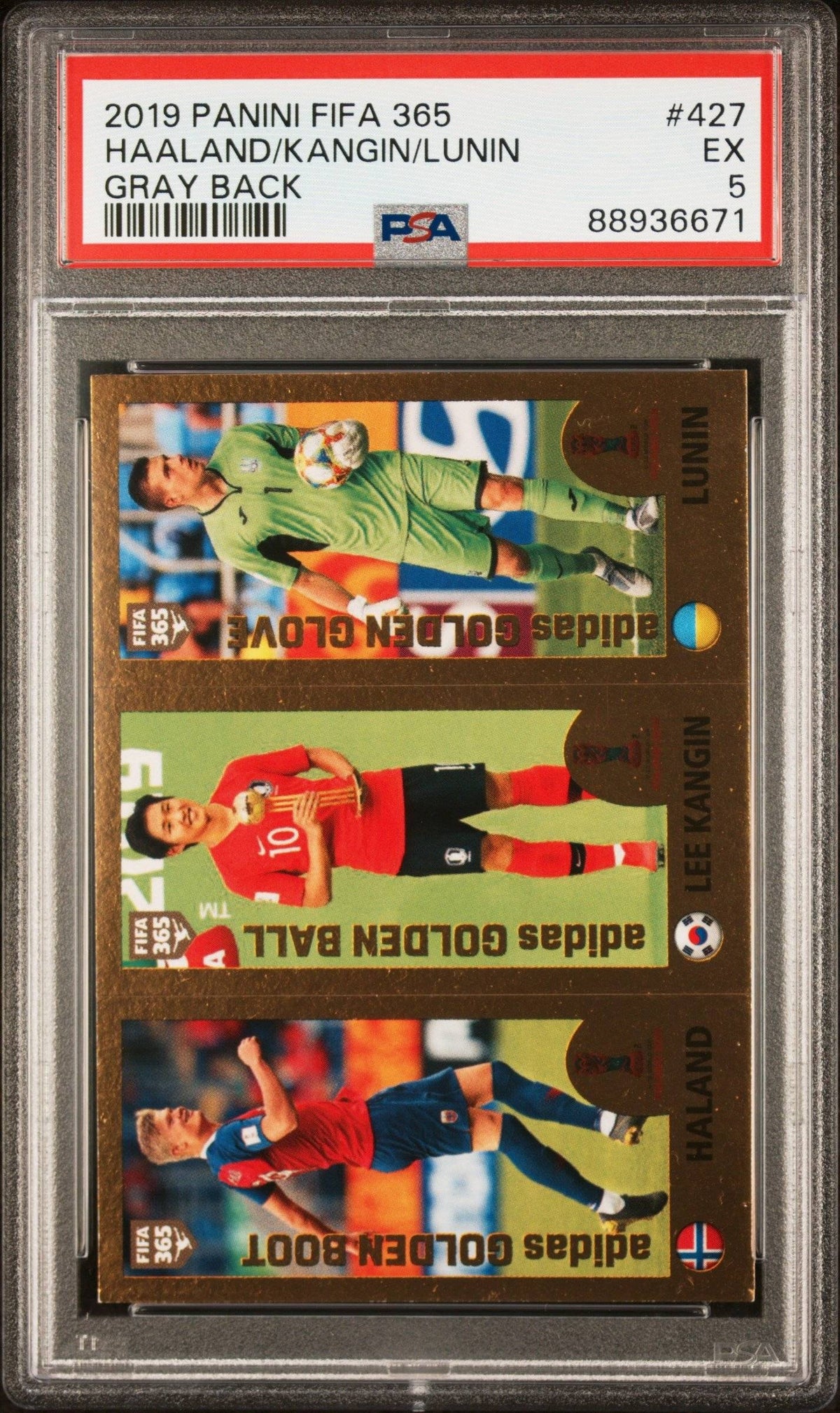Collectors Club inventory image [source:ff2ec8843d92b2fee12790be]