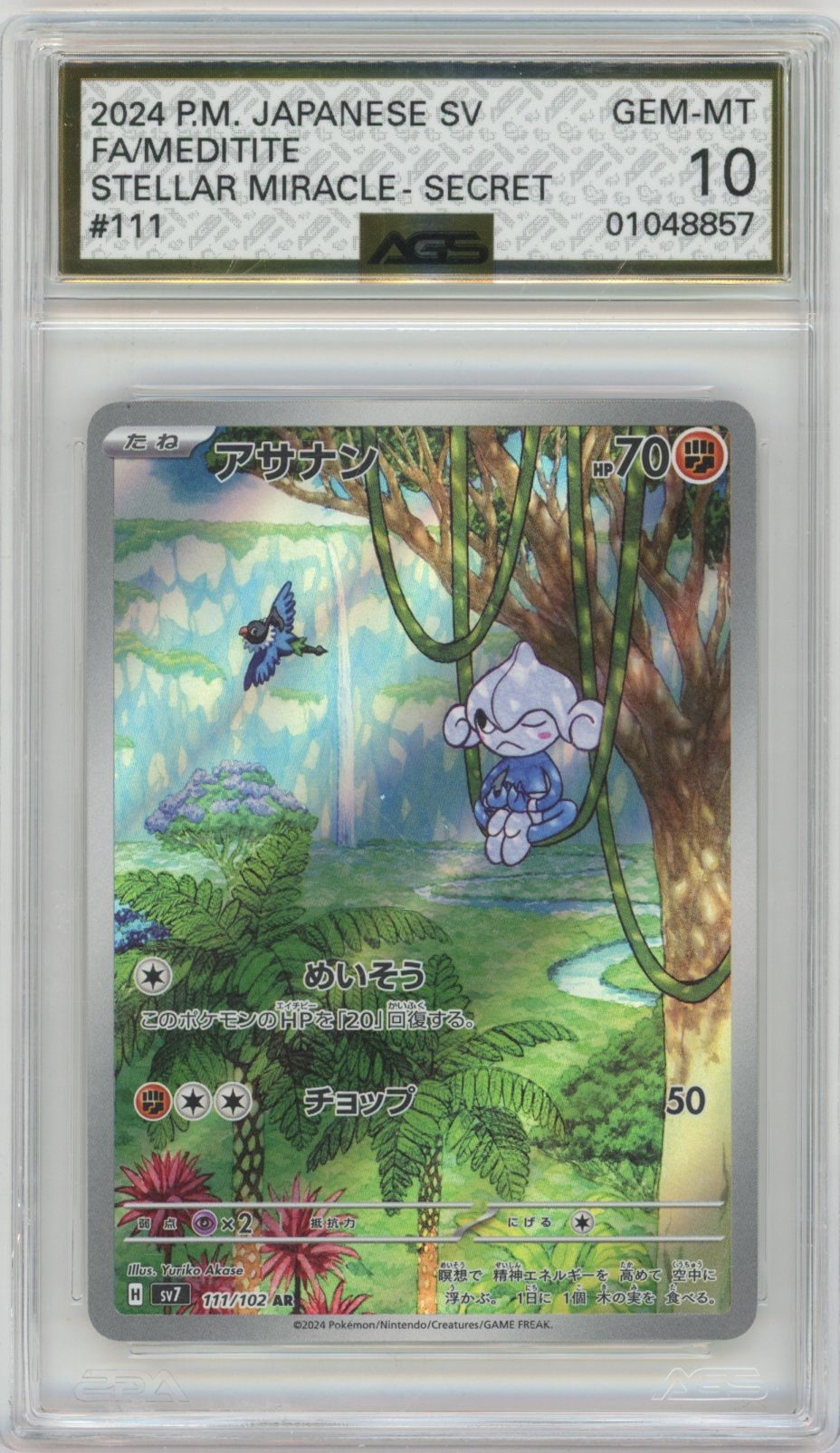 Collectors Club inventory image [source:9366d03826898c1afbb7c5f2]