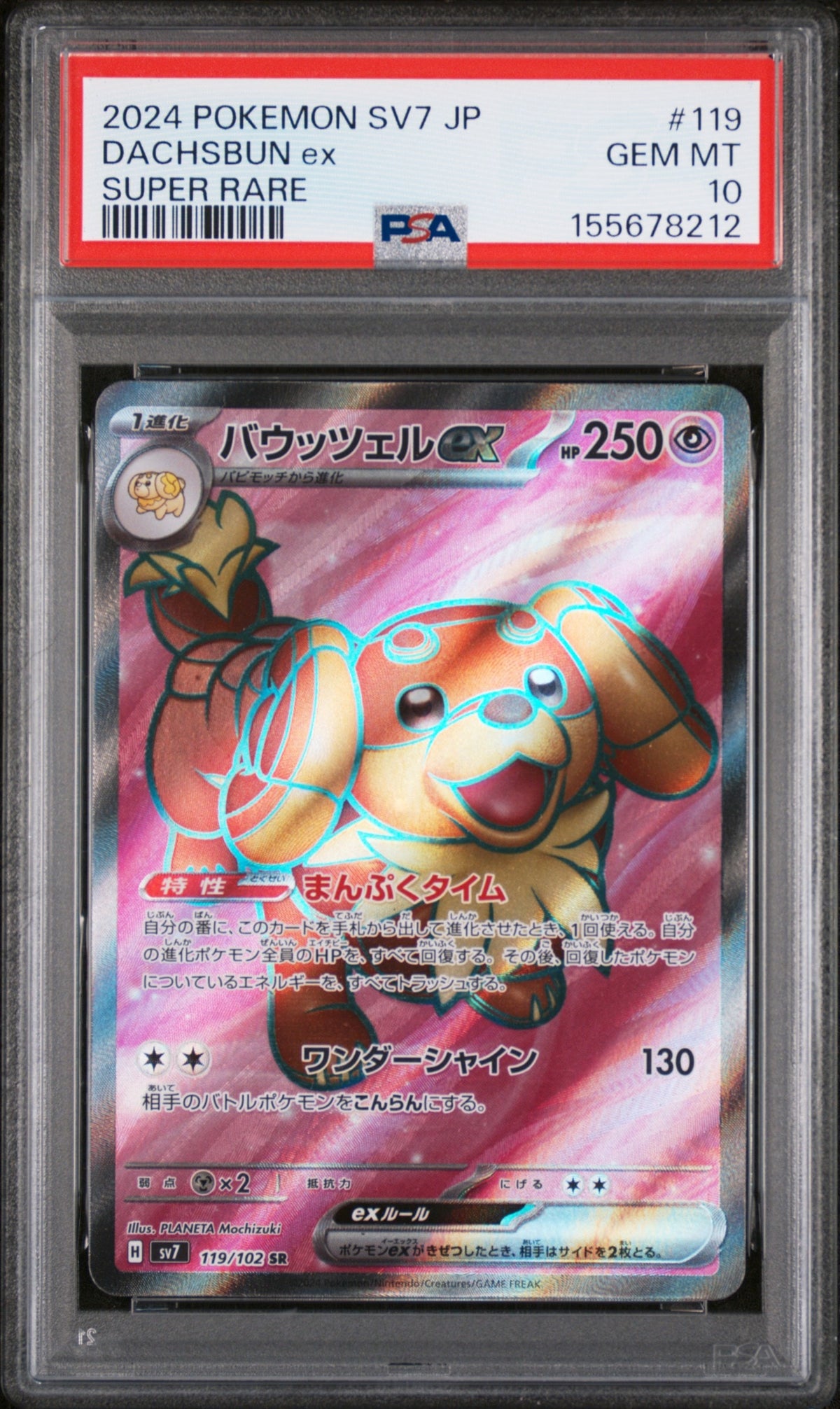 Collectors Club inventory image [source:f0f91e104341cc76cb79d975]