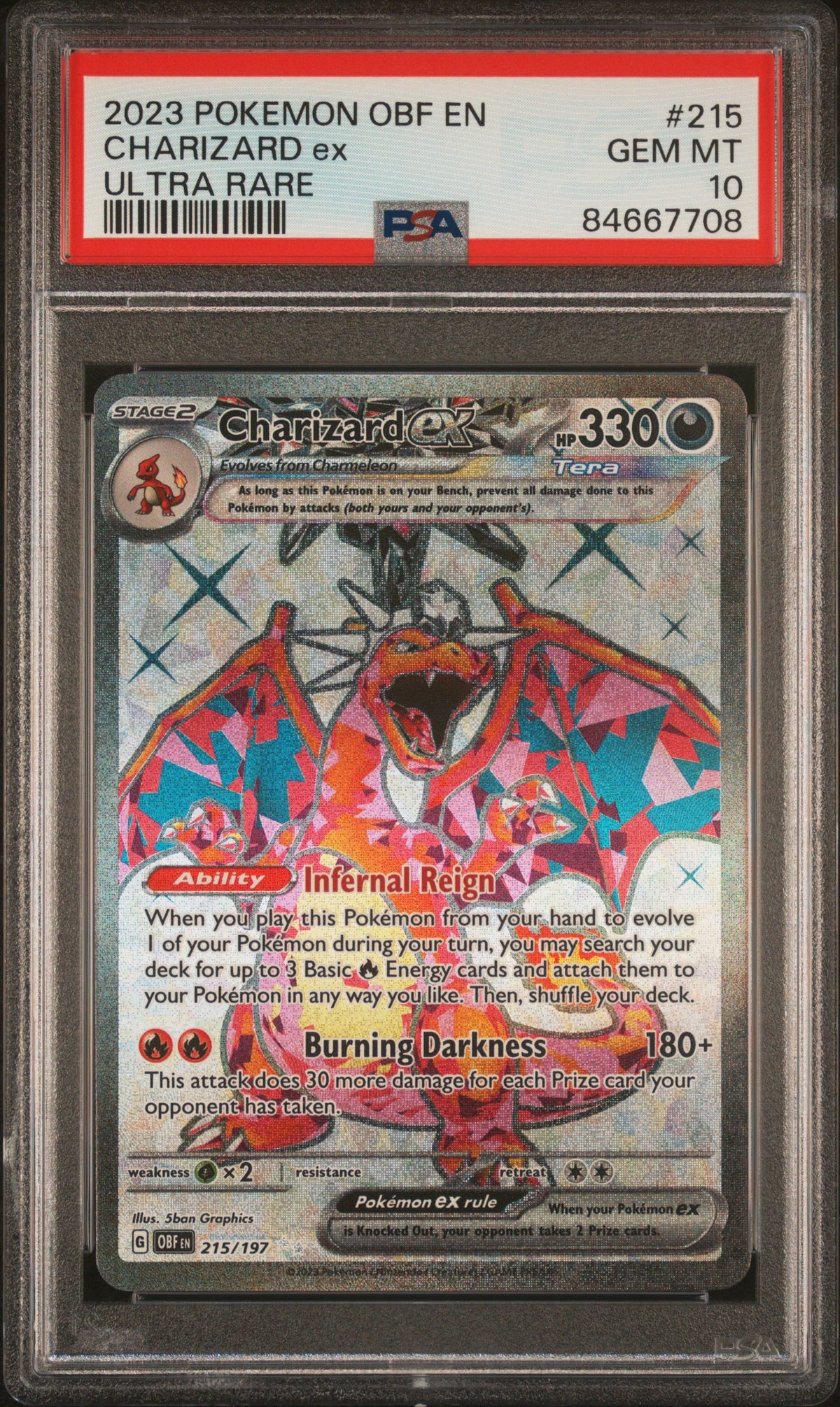 Collectors Club inventory image [source:858febcbf2eef32a633464f7]