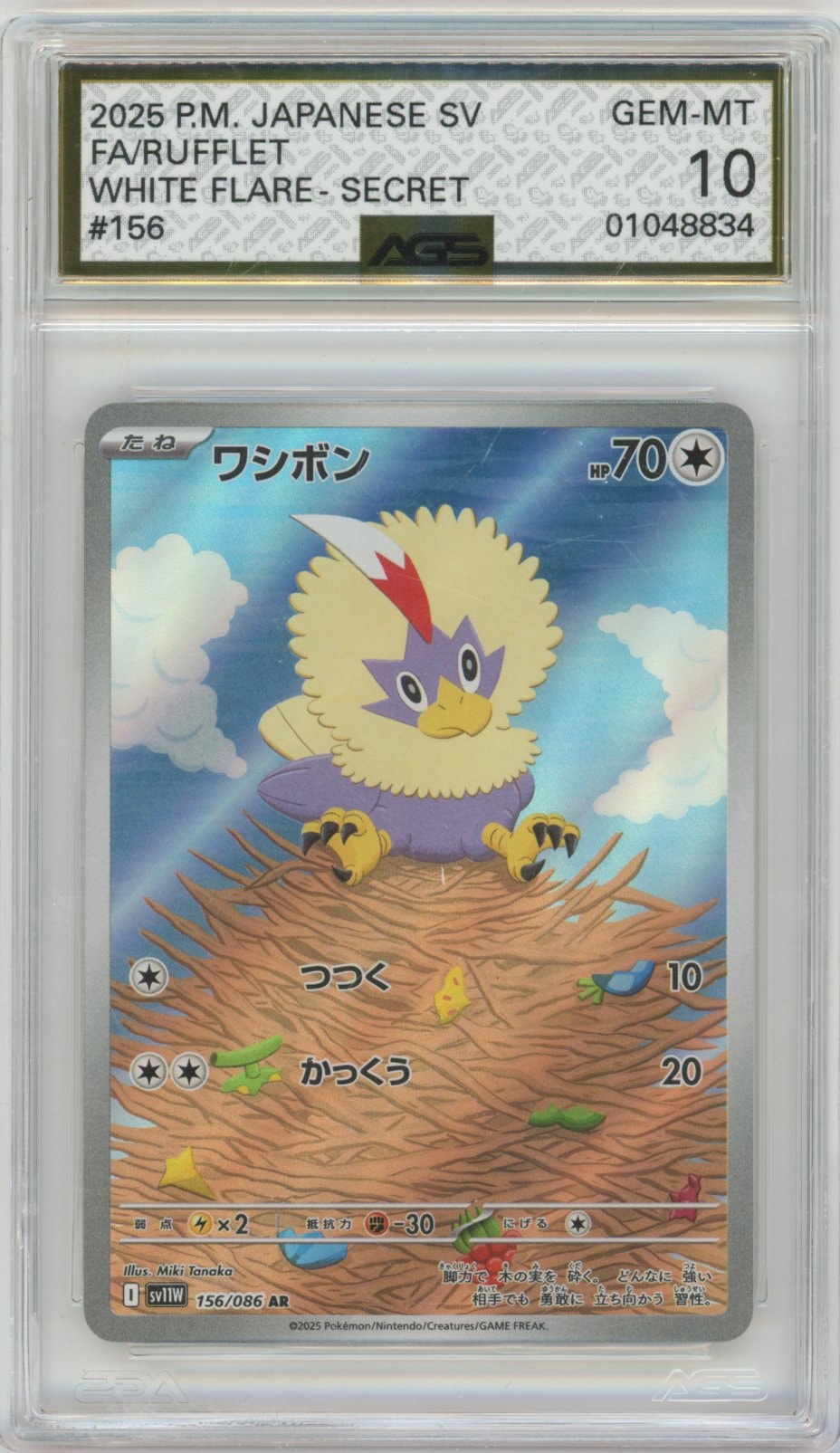 Collectors Club inventory image [source:ee43ea3dd64d14c64d87d5a6]