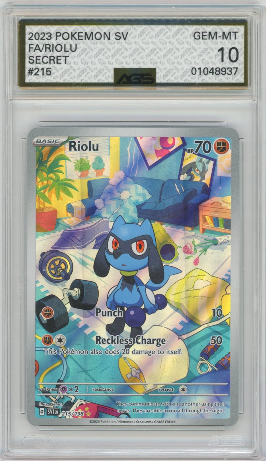Collectors Club inventory image [source:8c04b0c221c908224b741d0e]