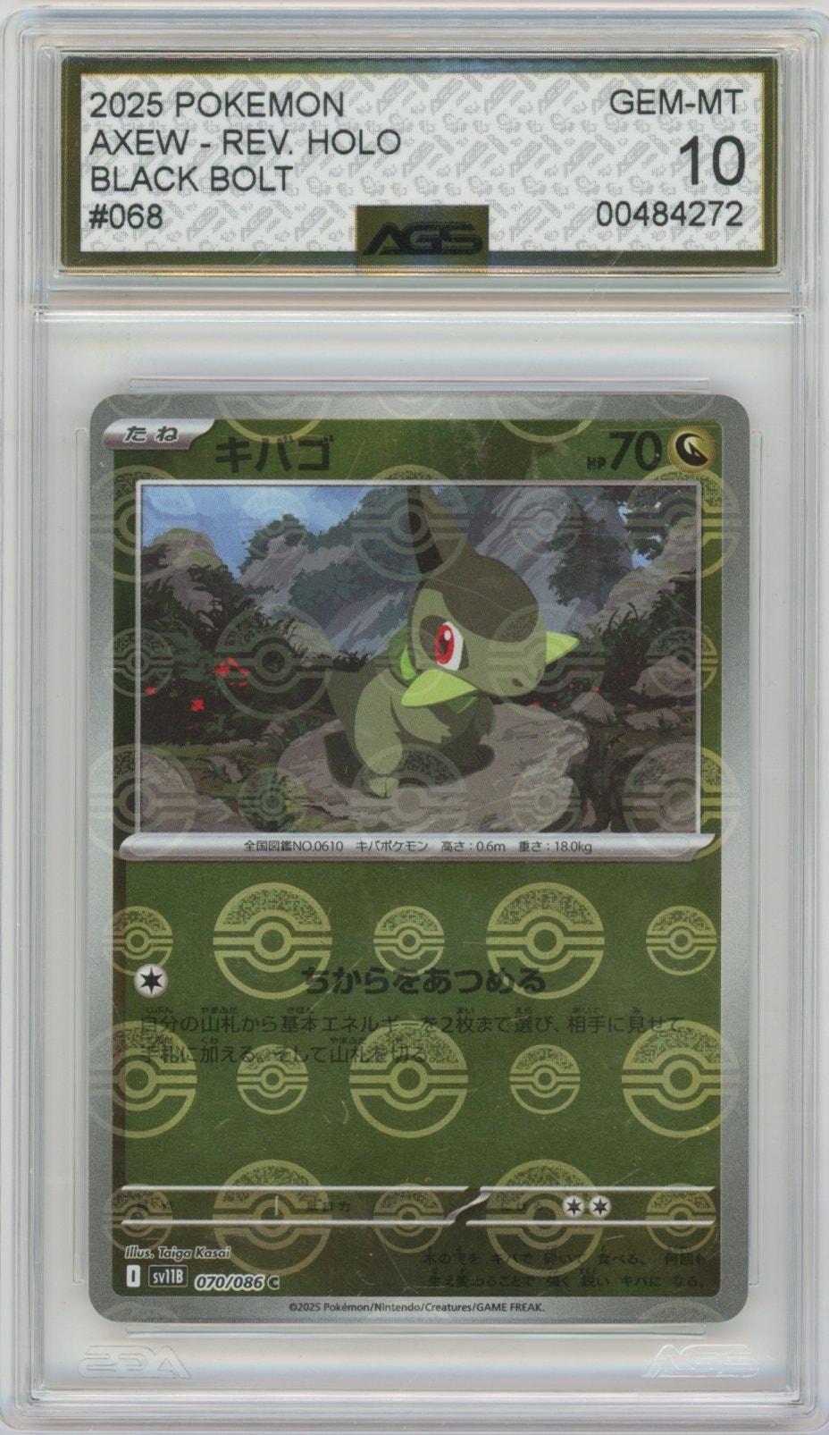 Collectors Club inventory image [source:35f32077a15a0dfa06a41398]
