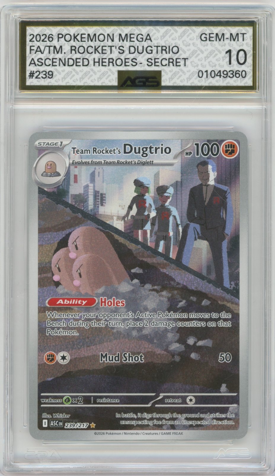 Collectors Club inventory image [source:9c5c912efc915256bebcd43a]