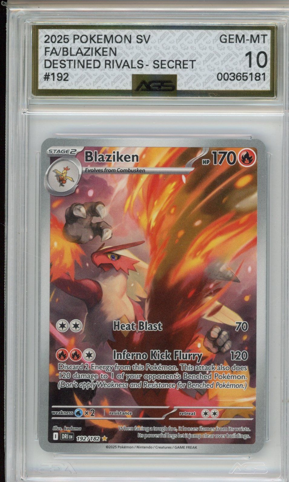 Collectors Club inventory image [source:1ae155c8bdbc0bf87c76d543]