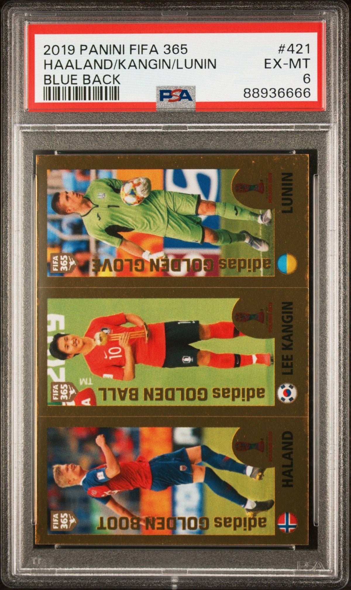 Collectors Club inventory image [source:b4ae64a7b8d118b05028a9f1]