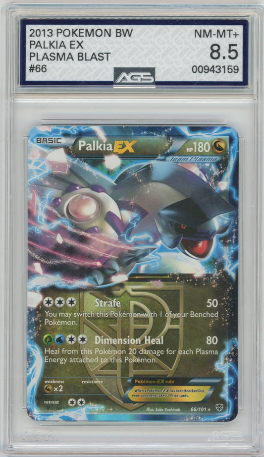 Collectors Club inventory image [source:4191b9cd02f152480eb54ce3]