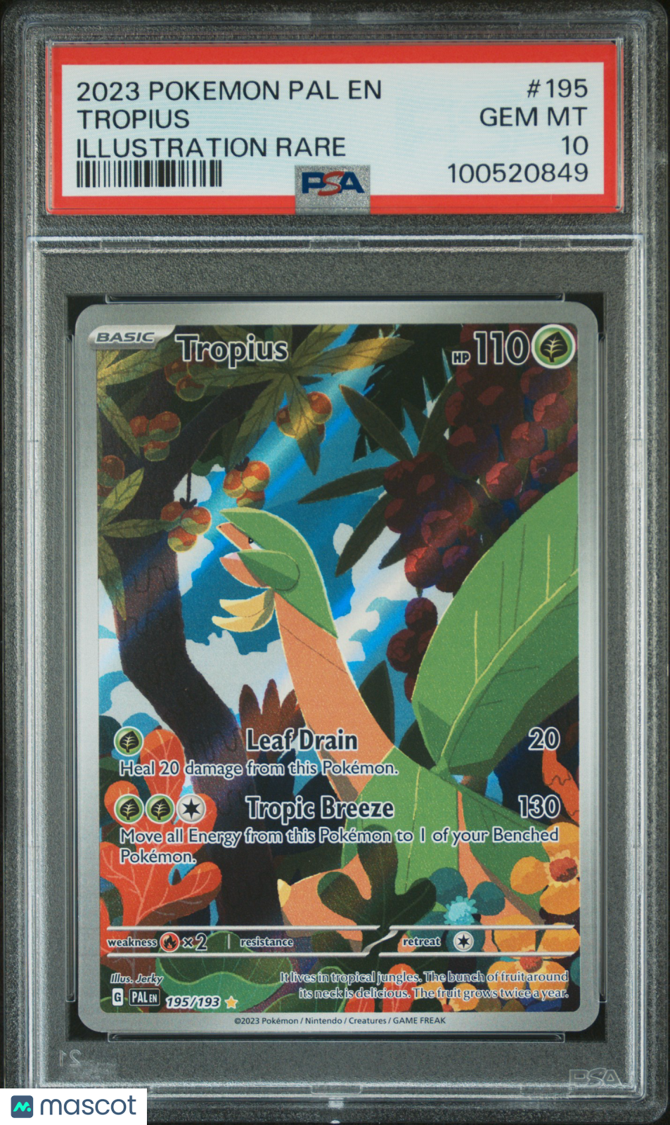 2023 Pokemon Pal EN-Paldea Evolved Tropius #195 Illustration Rare PSA 10