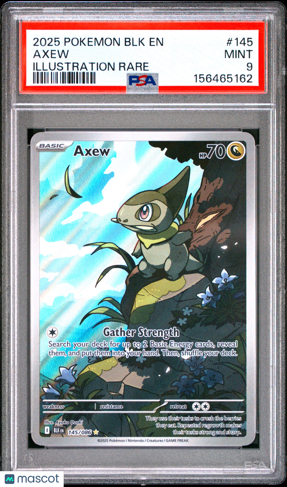 2025 Pokemon BLK EN-Black Bolt Axew #145 Illustration Rare PSA 9