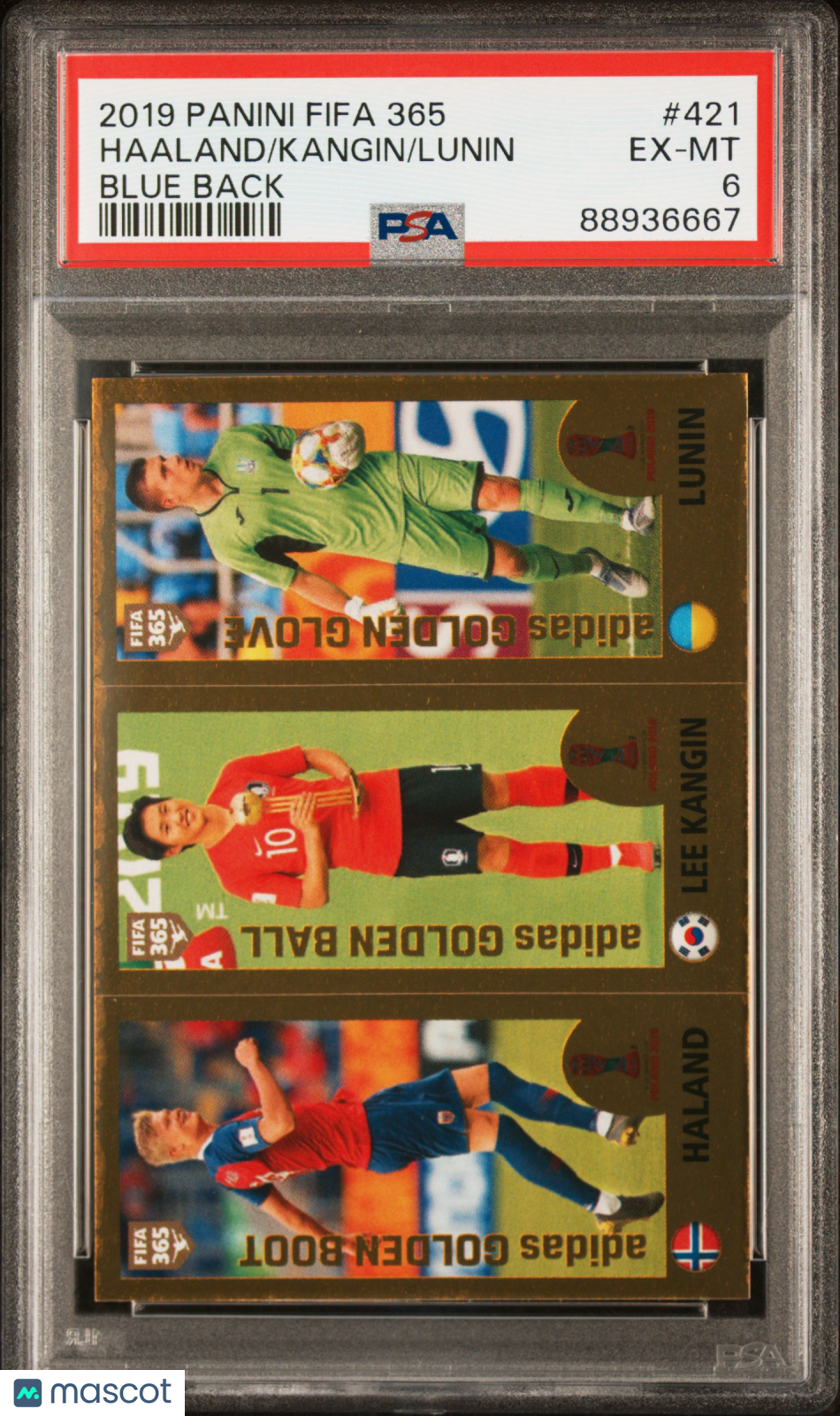 2019 Panini FIFA 365 Lunin Kangin Haaland #421 Blue Back PSA 6