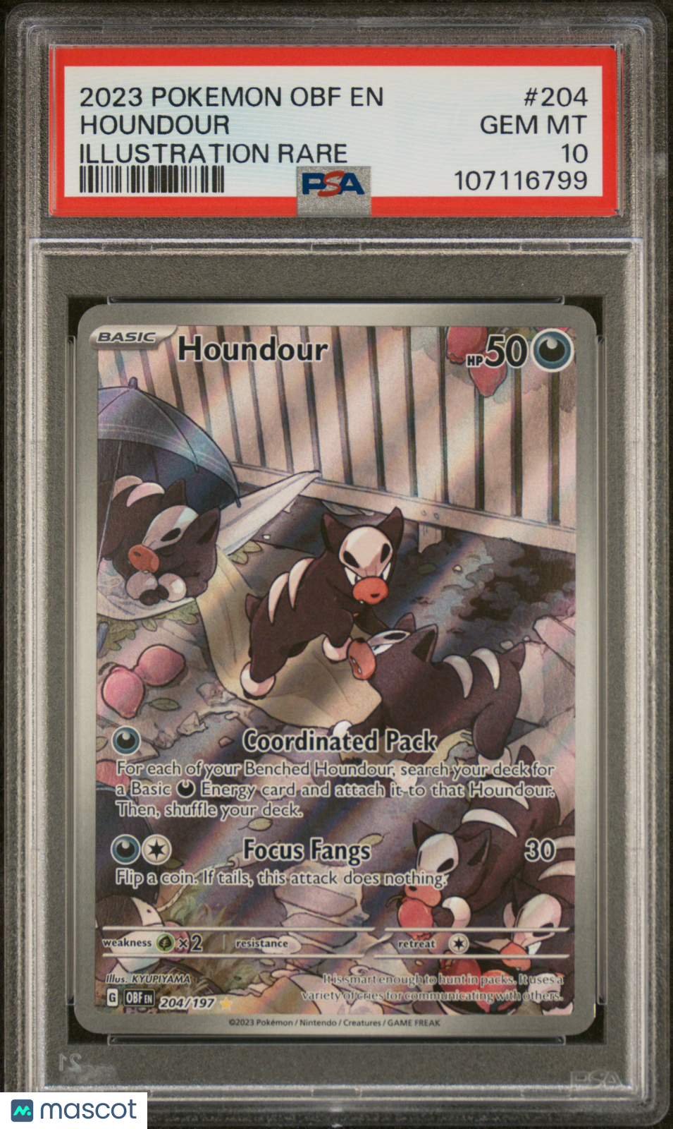 2023 Pokemon Obf EN-Obsidian Flames Houndour #204 Illustration Rare PSA 10