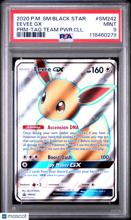 2020 Pokemon SM Black Star Promo Eevee GX #SM242 PRM-TAG Team PWR.CLL. PSA 9